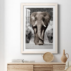 Botswana Patriarch - Barnwood Framed Art Print