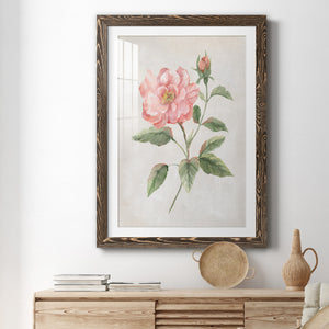 Grandiflora II - Barnwood Framed Art Print
