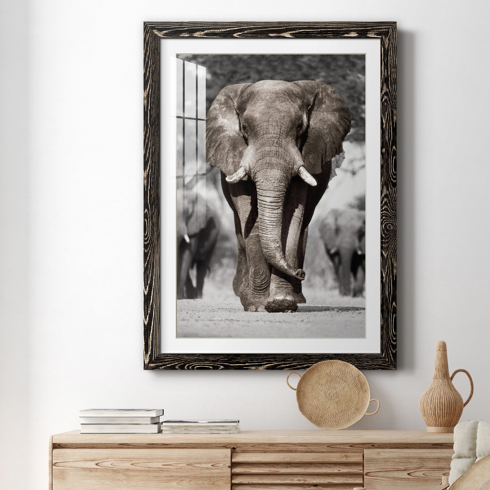 Botswana Patriarch - Barnwood Framed Art Print