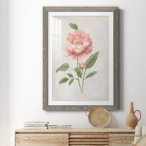 Grandiflora III - Barnwood Framed Art Print