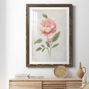 Grandiflora III - Barnwood Framed Art Print