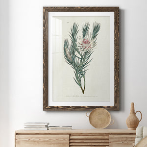 Protea N33 - Barnwood Framed Art Print