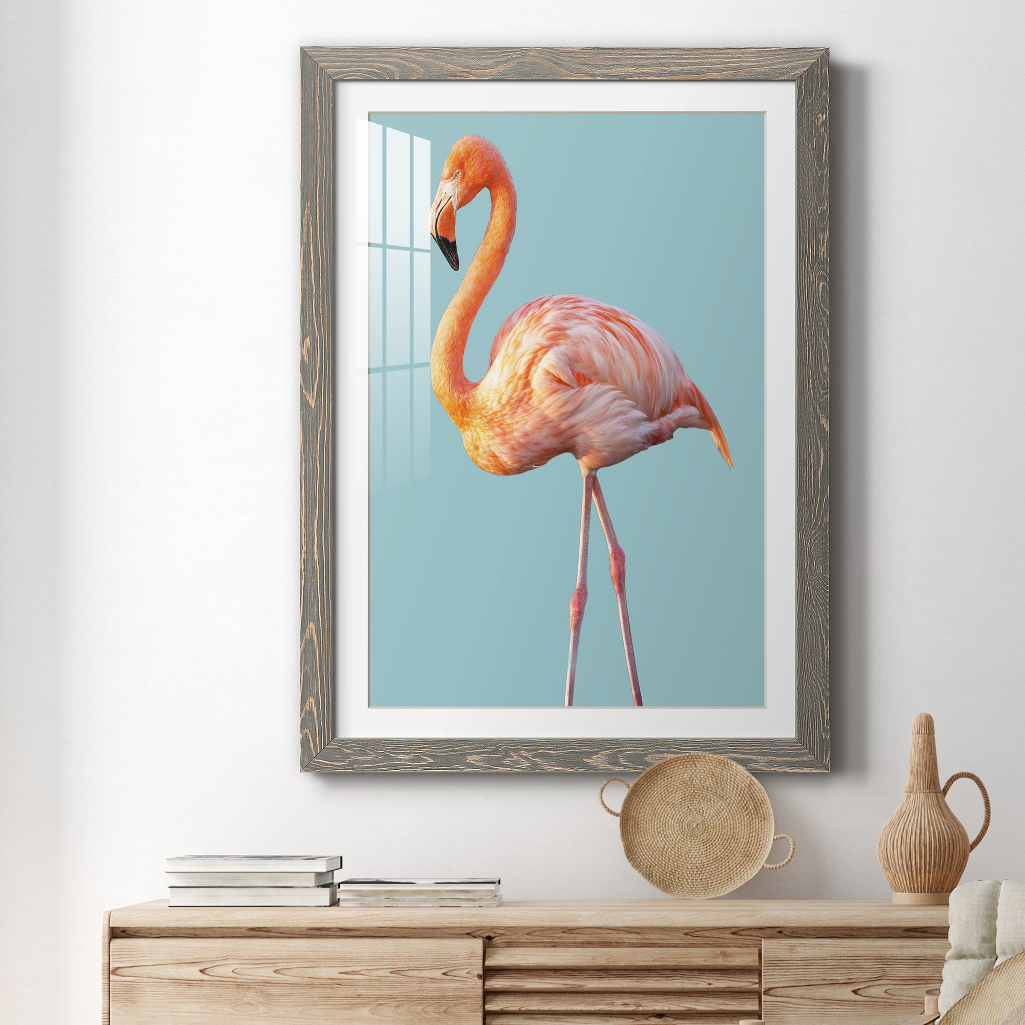 Flamingo - Barnwood