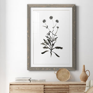Inky Botanical I - Premium Framed Print - Distressed Barnwood Frame - Ready to Hang