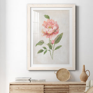 Grandiflora III - Barnwood Framed Art Print