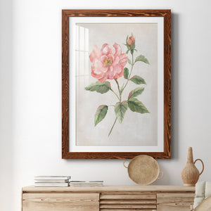 Grandiflora II - Barnwood Framed Art Print