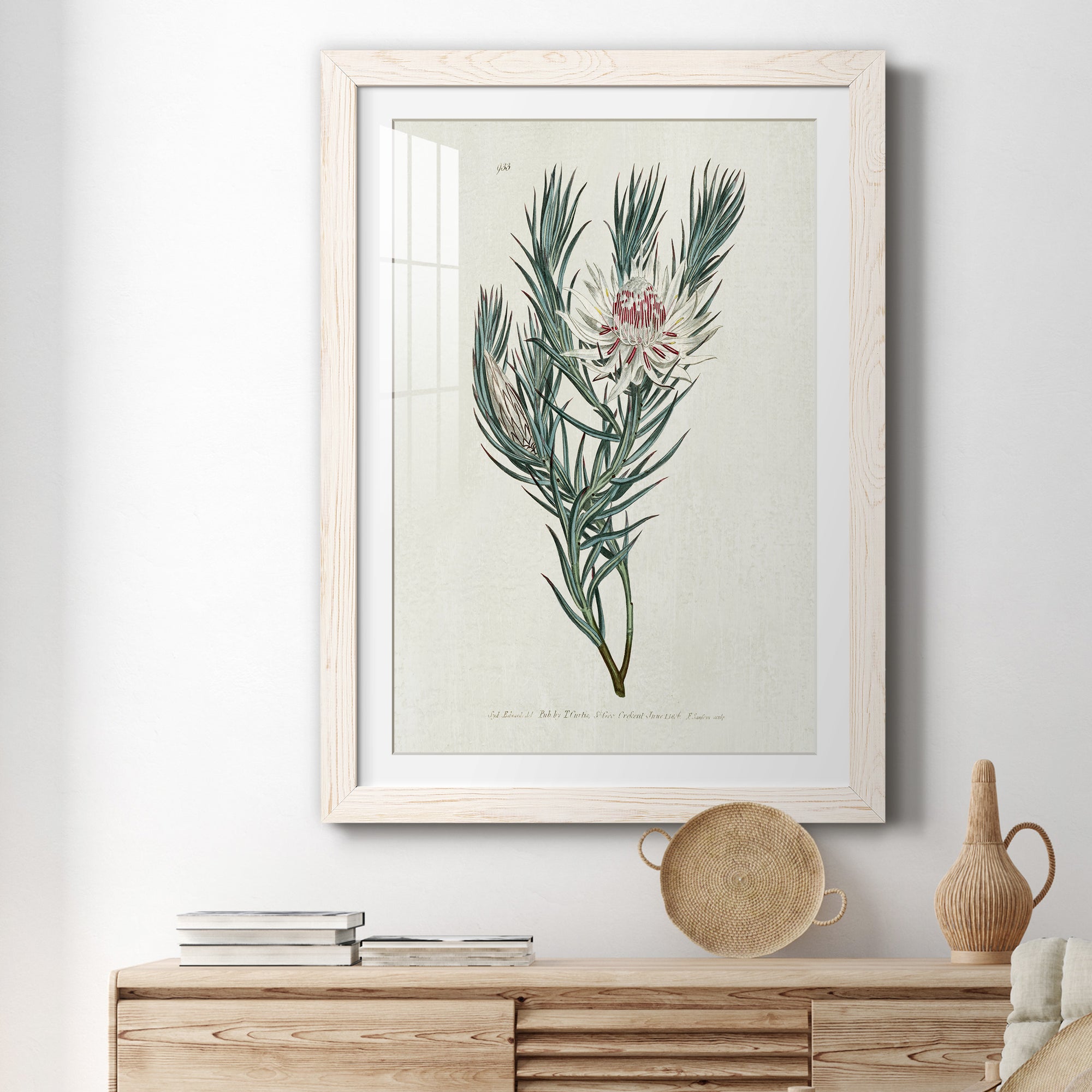 Protea N33 - Barnwood Framed Art Print