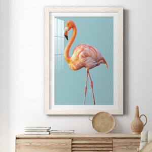 Flamingo - Barnwood
