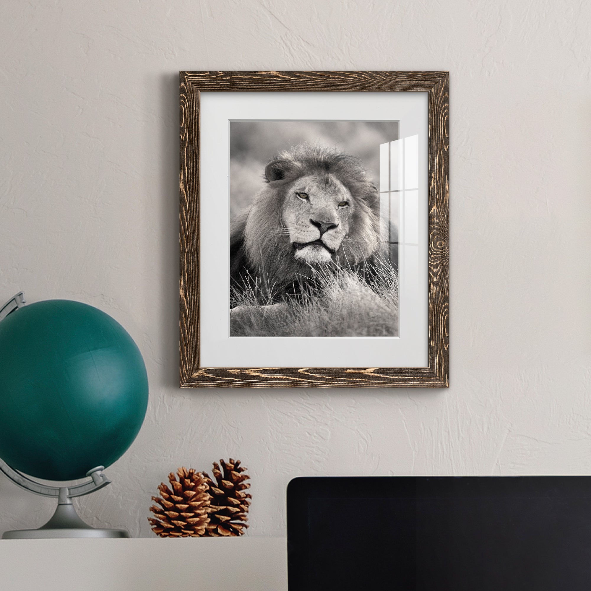 Pride of the Pride - Barnwood Framed Art Print