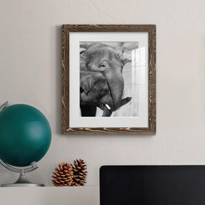 Tender Moment - Barnwood Framed Art Print