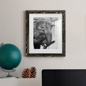 Tender Moment - Barnwood Framed Art Print