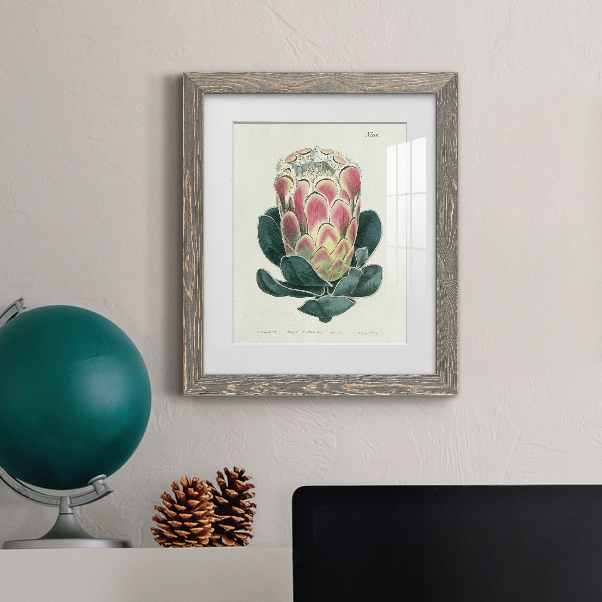 Protea N83 - Barnwood Framed Art Print