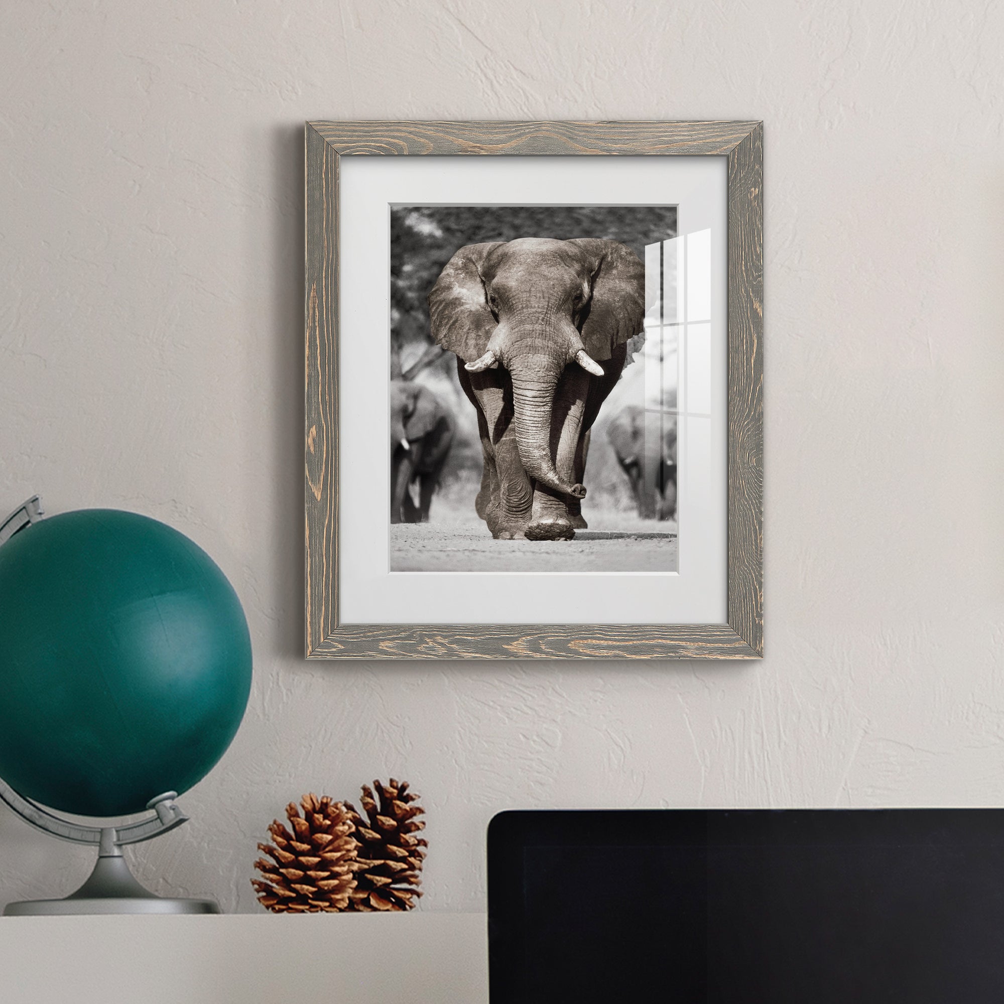 Botswana Patriarch - Barnwood Framed Art Print