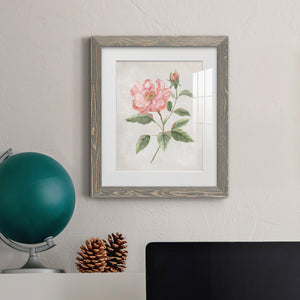 Grandiflora II - Barnwood Framed Art Print