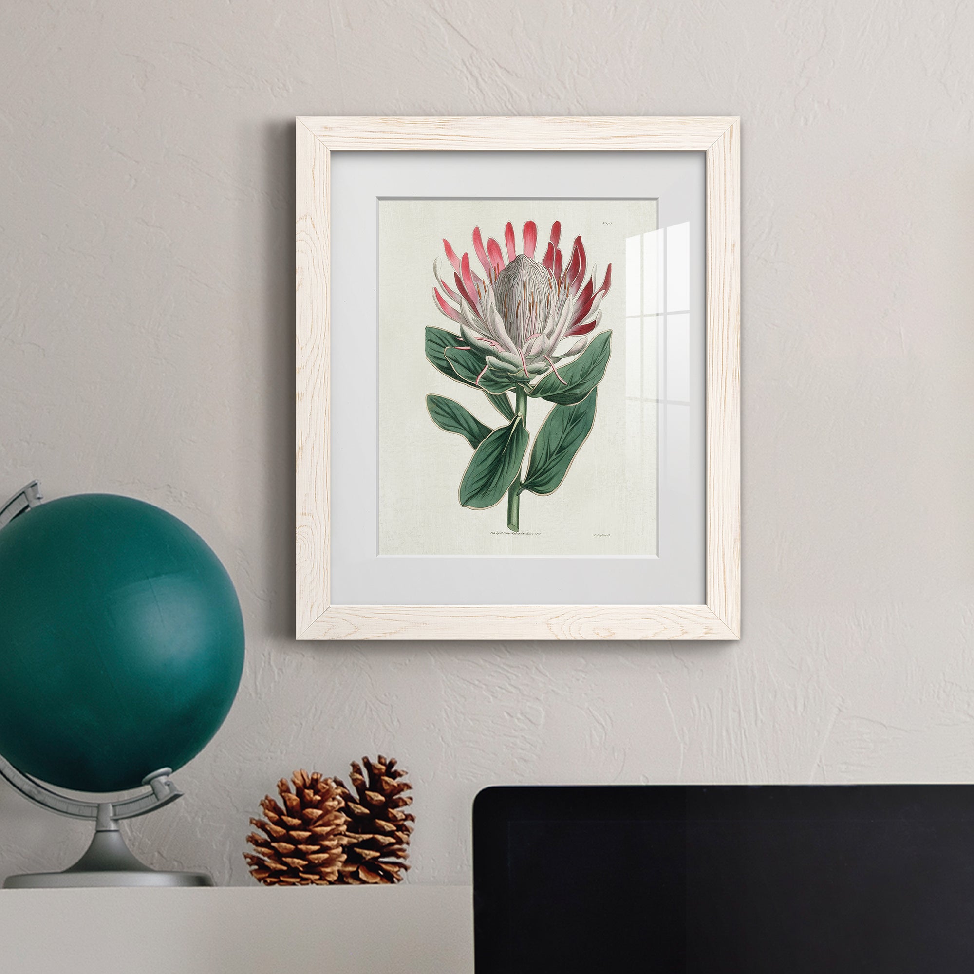 Protea N13 - Barnwood Framed Art Print
