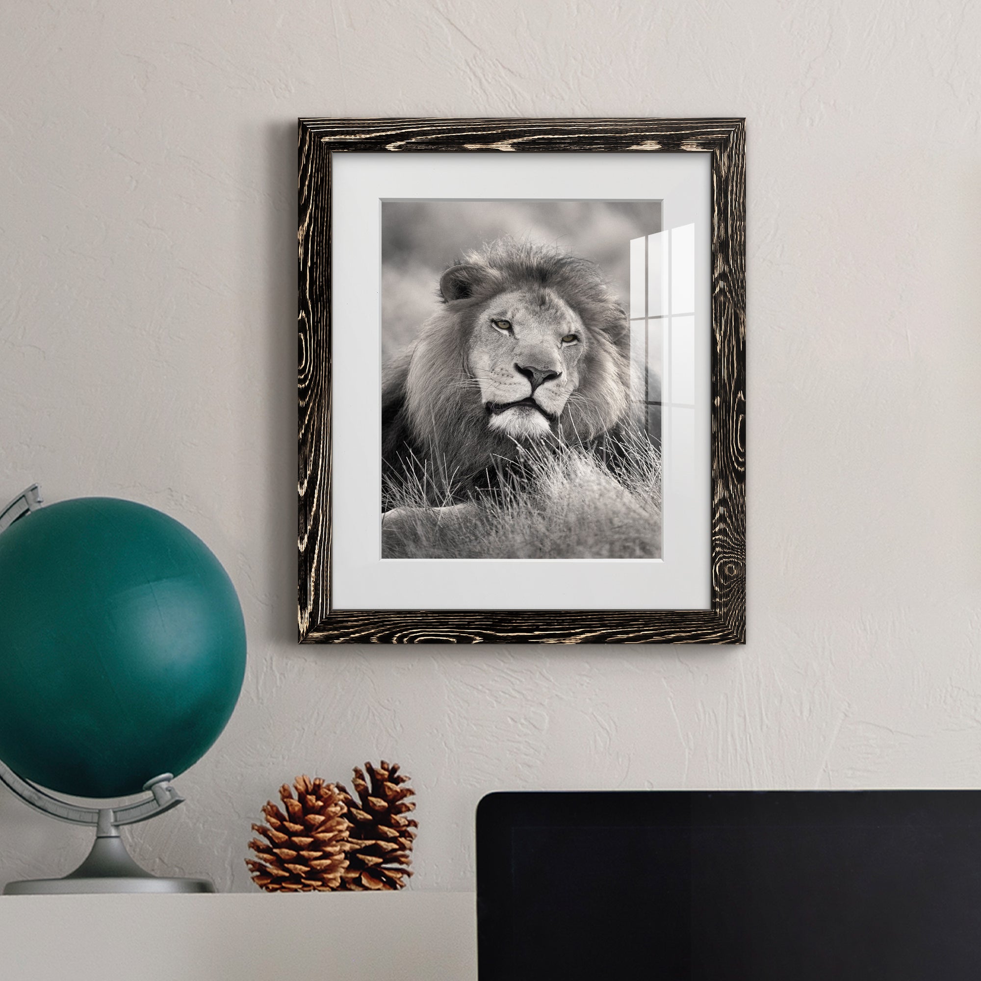 Pride of the Pride - Barnwood Framed Art Print