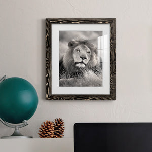 Pride of the Pride - Barnwood Framed Art Print