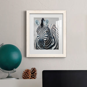 Namibia Zebra - Premium Framed Print - Distressed Barnwood Frame - Ready to Hang