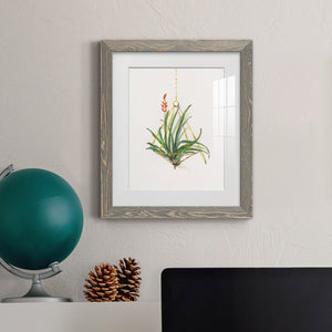 Gardenaire I - Barnwood Framed Art Print