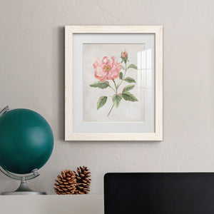 Grandiflora II - Barnwood Framed Art Print