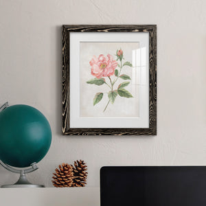 Grandiflora II - Barnwood Framed Art Print