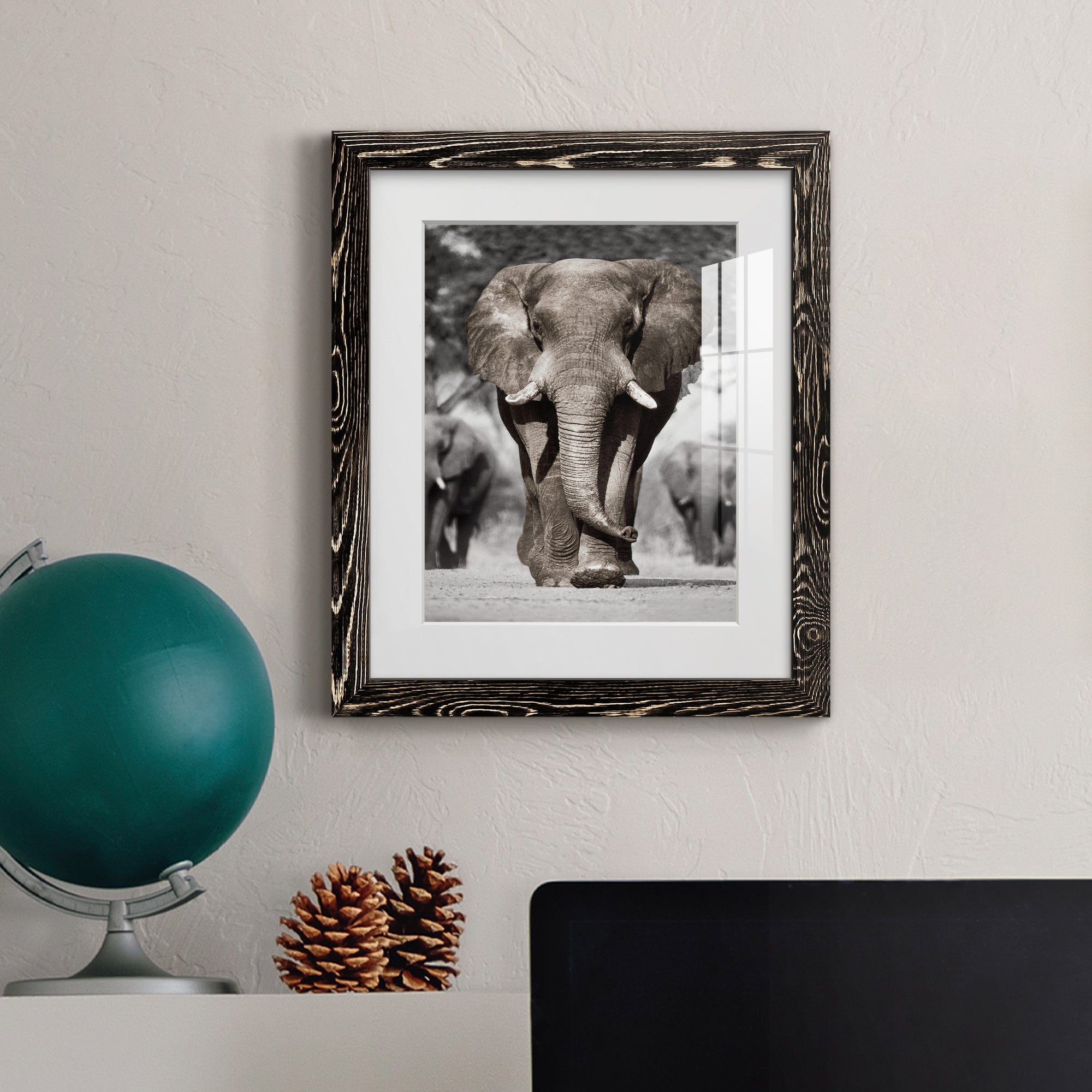 Botswana Patriarch - Barnwood Framed Art Print