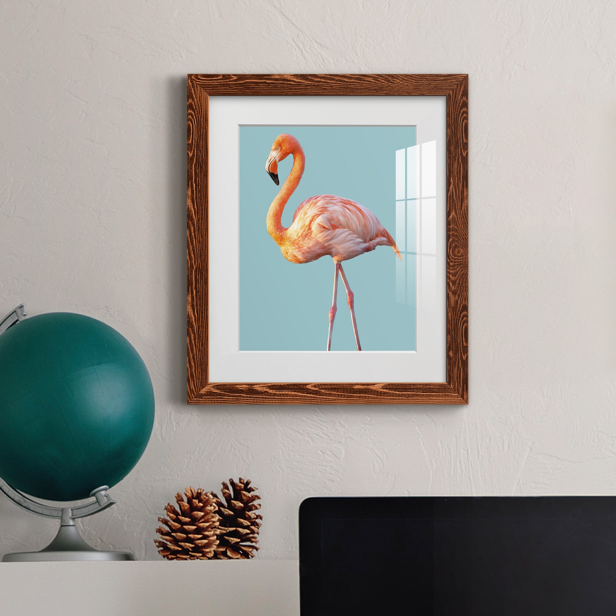 Flamingo - Barnwood