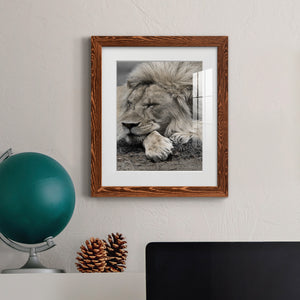 Sleepy Afternoon in Masai Mara - Barnwood Framed Art Print