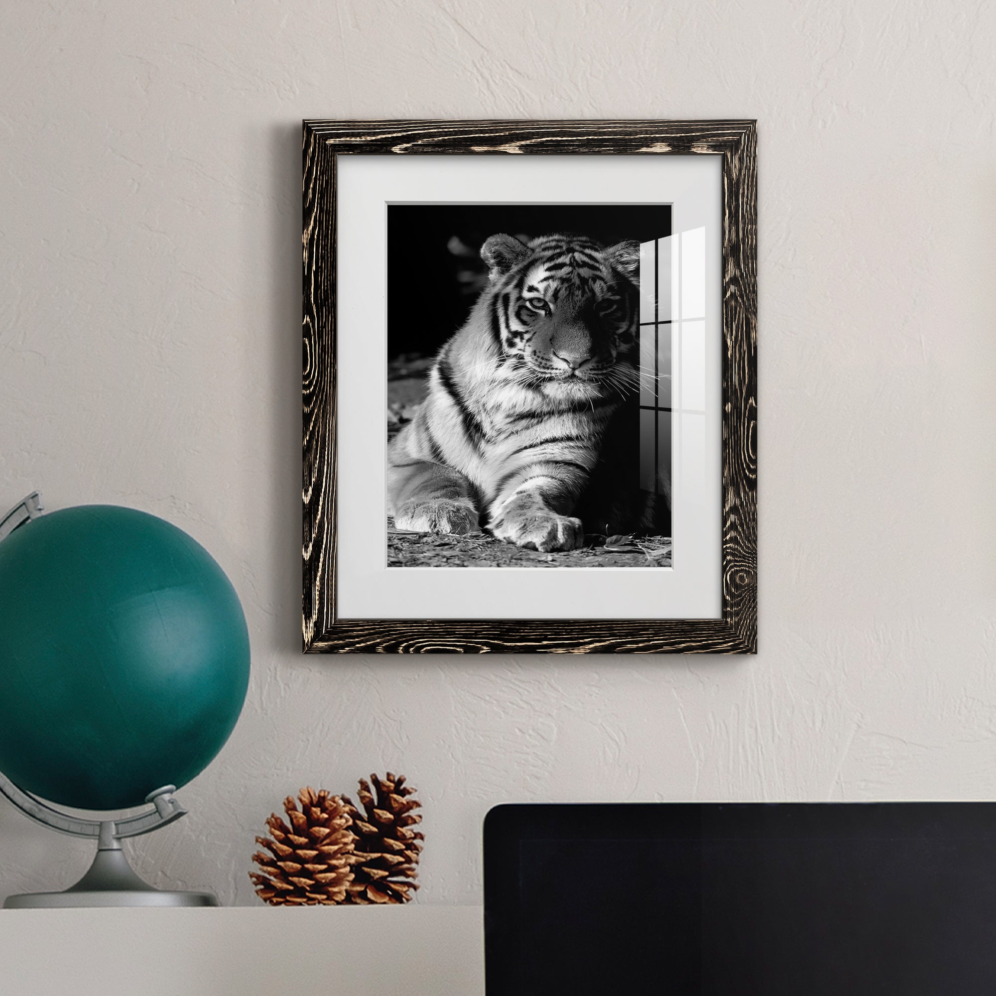 Tiger Repose - Barnwood Framed Art Print