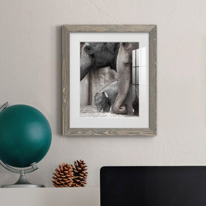 Family Moment - Barnwood Framed Art Print