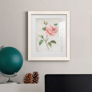 Grandiflora I - Barnwood Framed Art Print