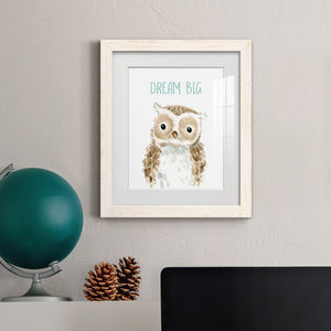 Dream Big Owl - Barnwood