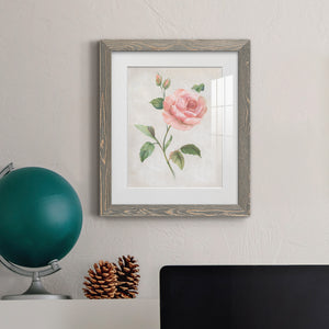 Grandiflora I - Barnwood Framed Art Print
