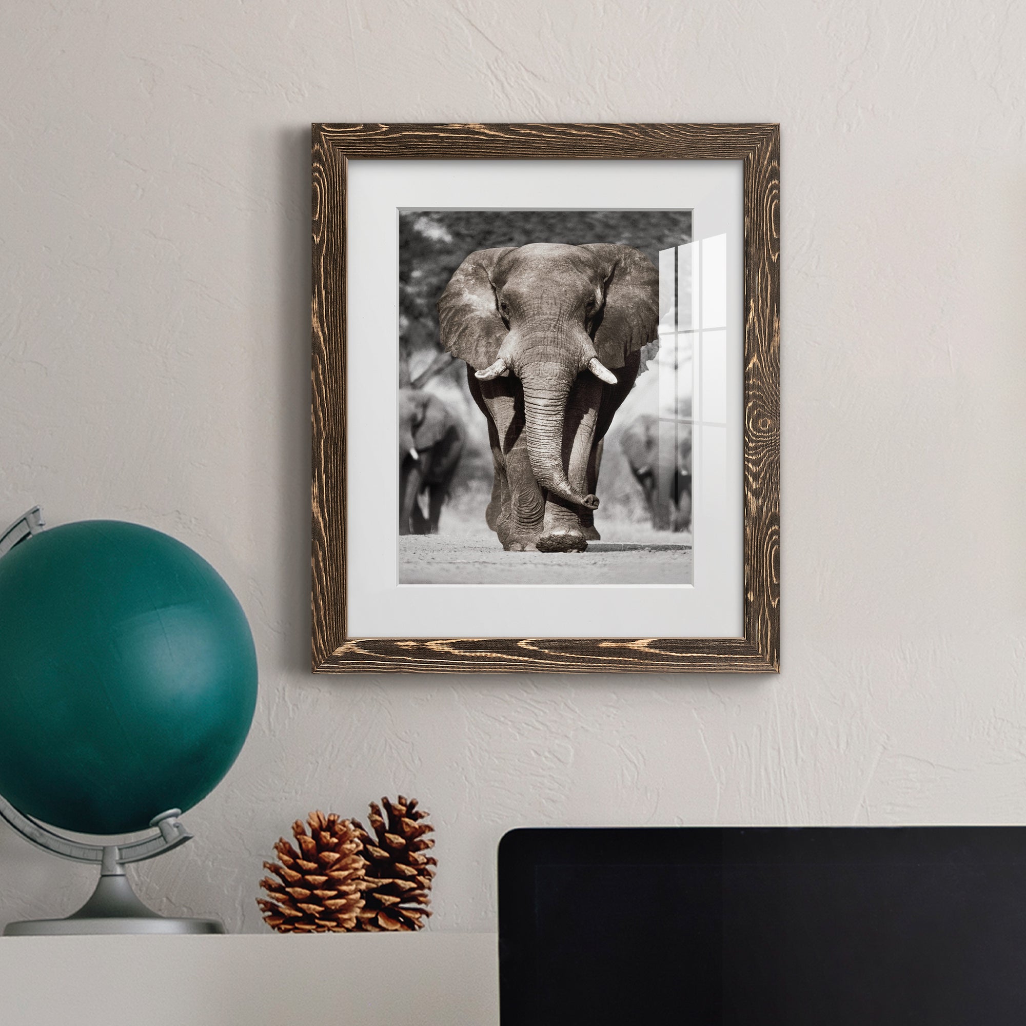 Botswana Patriarch - Barnwood Framed Art Print