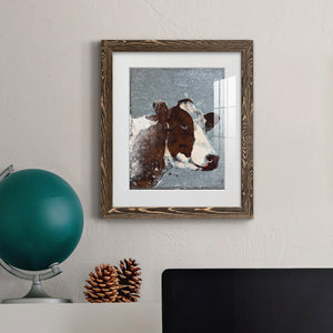 Cow On Galvanized Metal - Barnwood