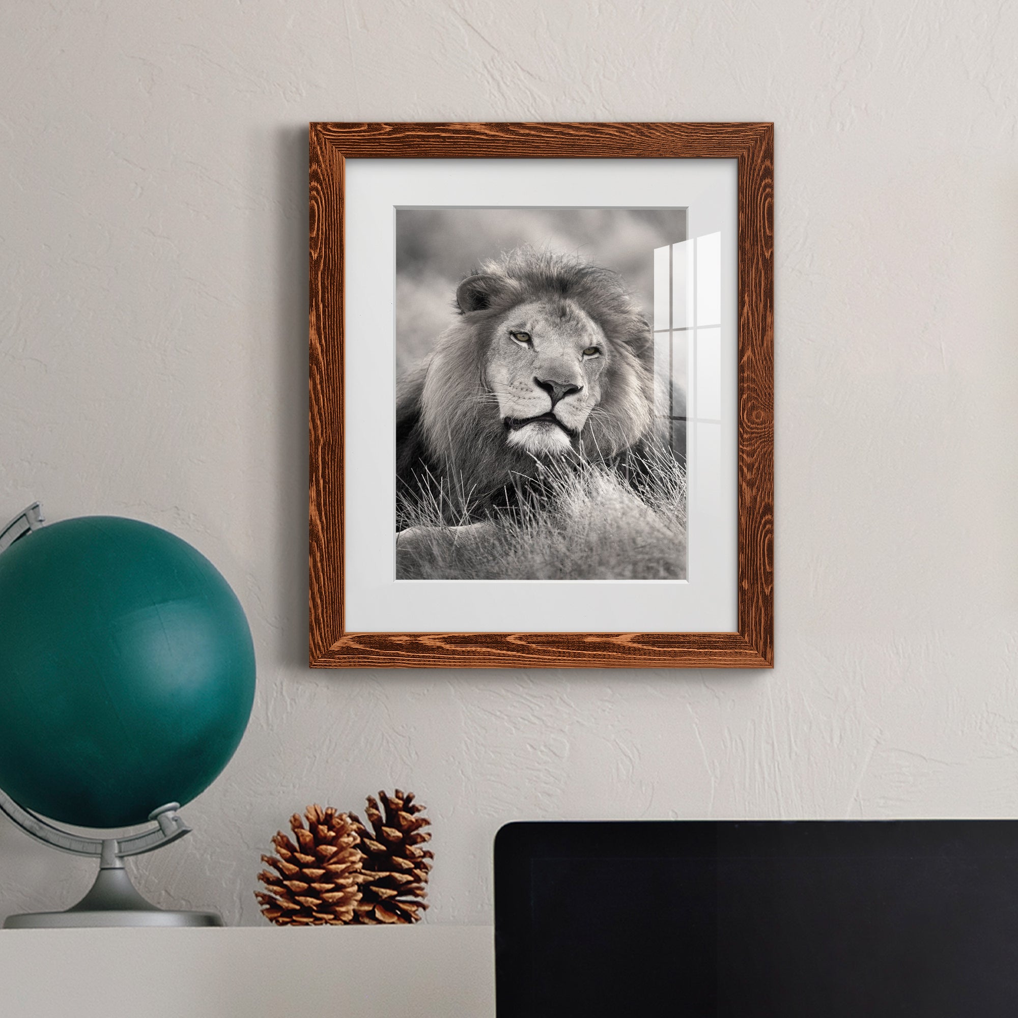 Pride of the Pride - Barnwood Framed Art Print