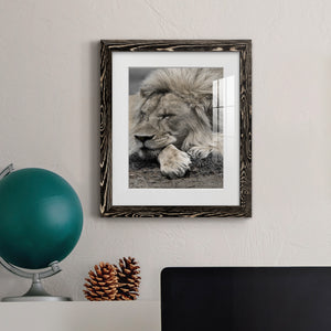 Sleepy Afternoon in Masai Mara - Barnwood Framed Art Print