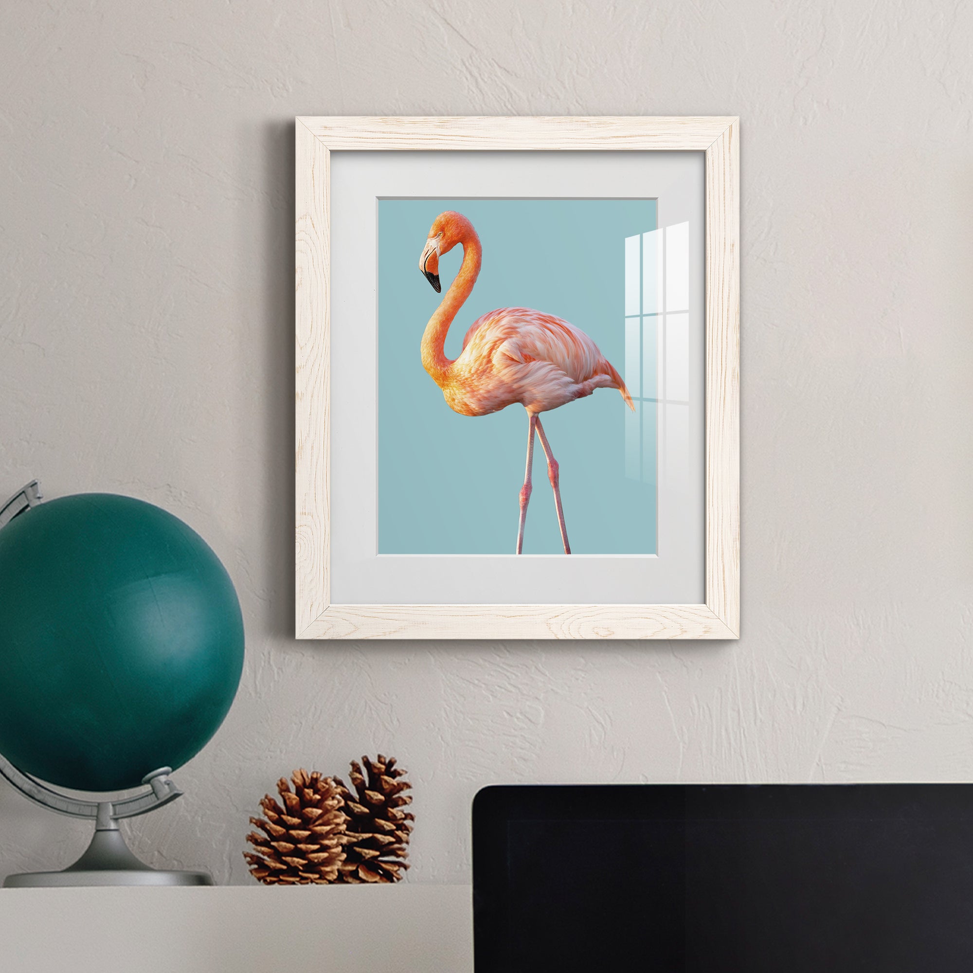 Flamingo - Barnwood