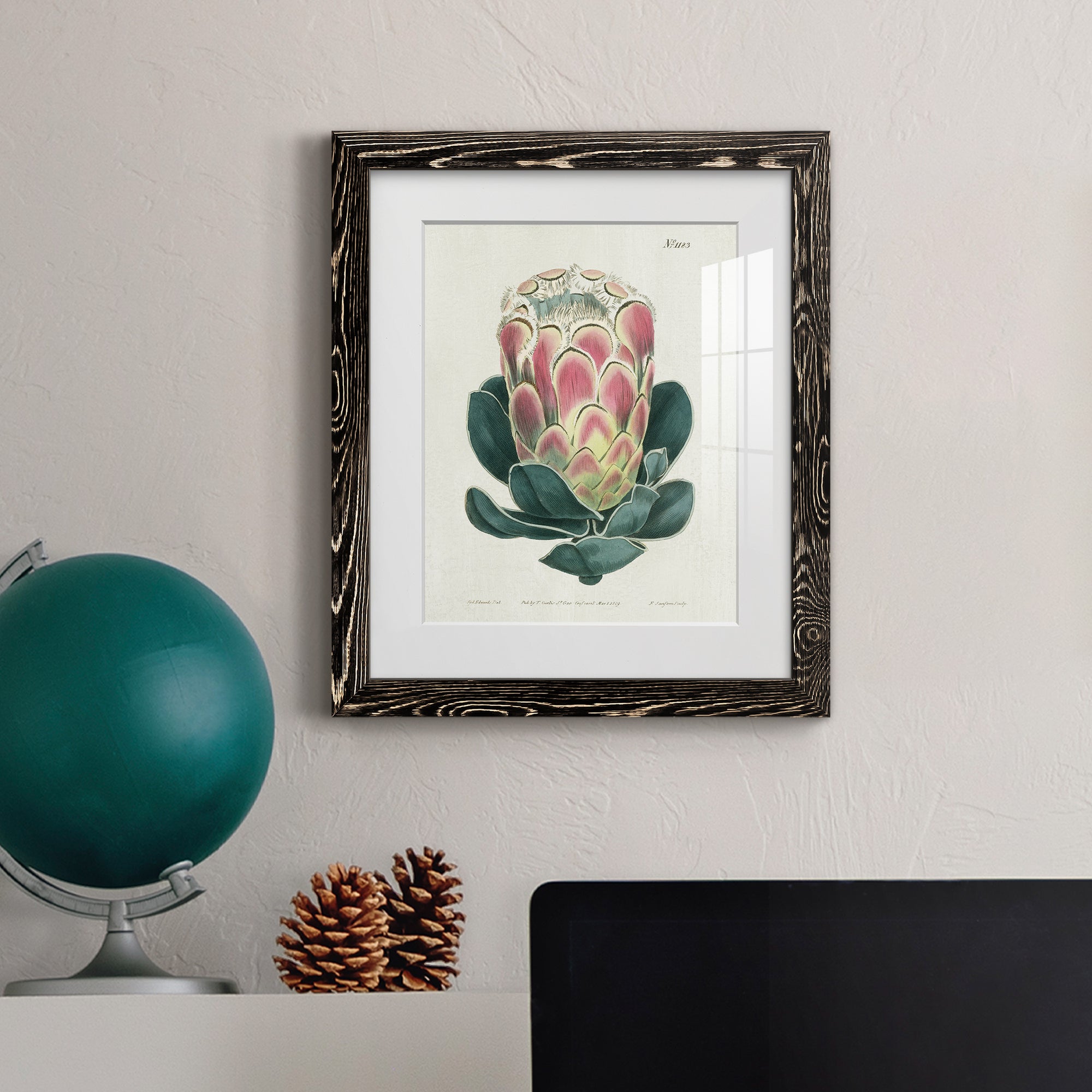 Protea N83 - Barnwood Framed Art Print