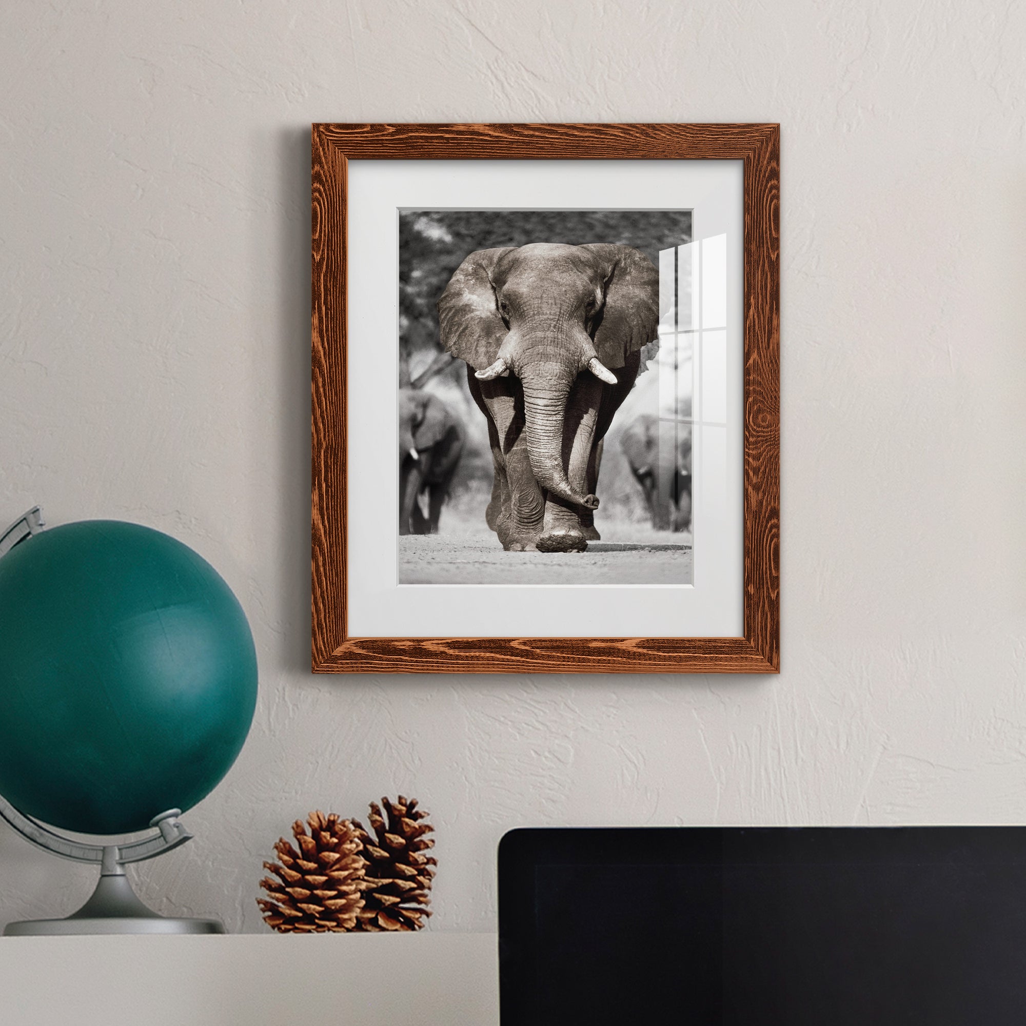 Botswana Patriarch - Barnwood Framed Art Print