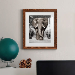 Botswana Patriarch - Barnwood Framed Art Print