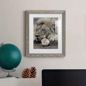 Sleepy Afternoon in Masai Mara - Barnwood Framed Art Print