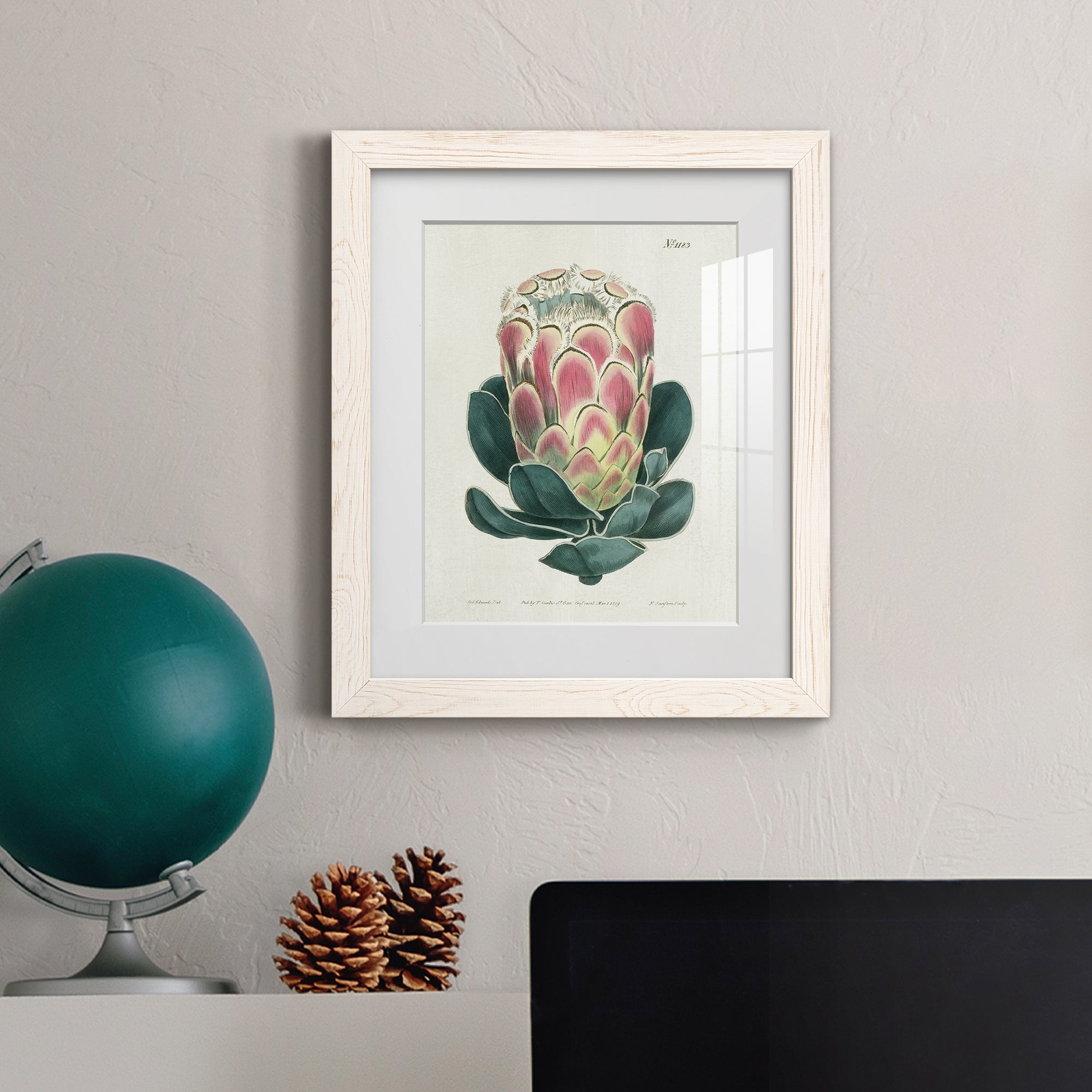 Protea N83 - Barnwood Framed Art Print