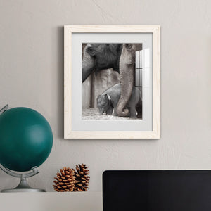 Family Moment - Barnwood Framed Art Print