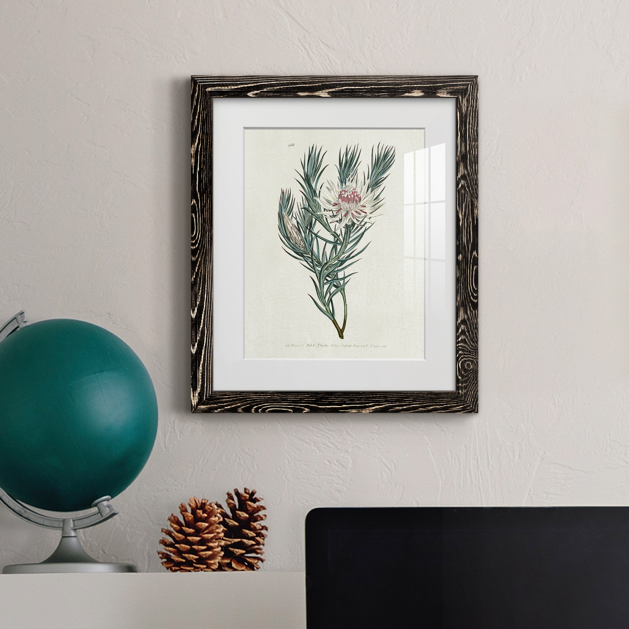 Protea N33 - Barnwood Framed Art Print