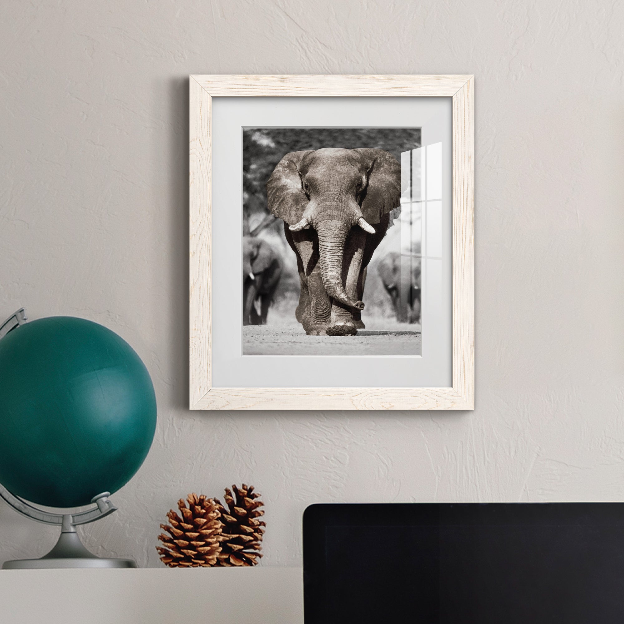 Botswana Patriarch - Barnwood Framed Art Print