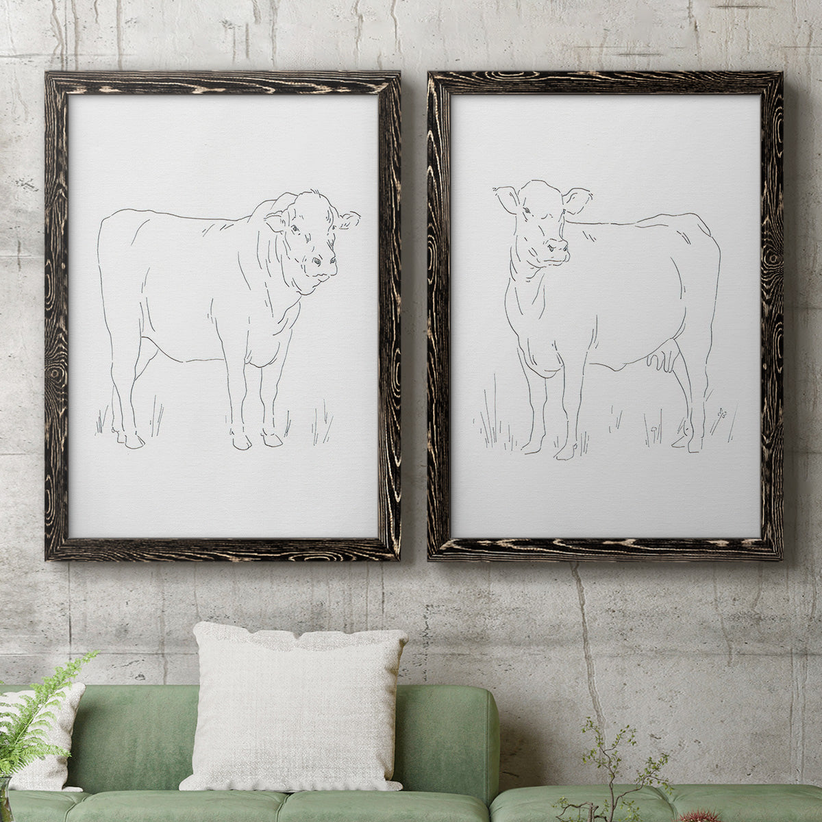 Limousin Cattle I - Barnwood Framed Canvas Set
