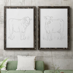 Limousin Cattle I - Barnwood Framed Canvas Set