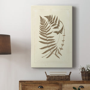 Sepia Ferns V Premium Gallery Wrapped Canvas - Ready to Hang