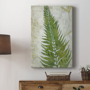 Frond II Premium Gallery Wrapped Canvas - Ready to Hang